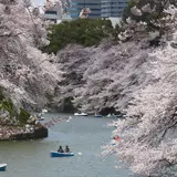 千鳥ヶ淵緑道