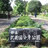 武蔵国分寺公園