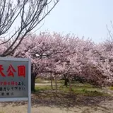 弁天公園