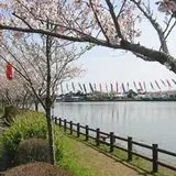 袋公園