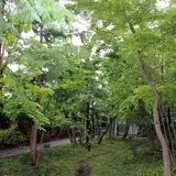 コピス吉祥寺
