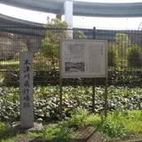 木津川飛行場跡