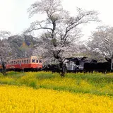 飯給駅