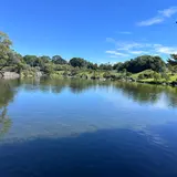 水前寺成趣園