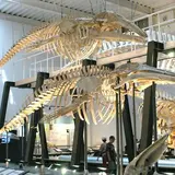 足寄動物化石博物館