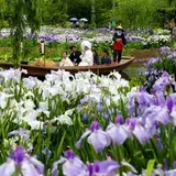 水郷佐原あやめパーク（旧 水郷佐原水生植物園）