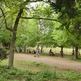 善福寺公園