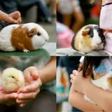 こども自然公園