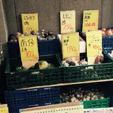 野菜