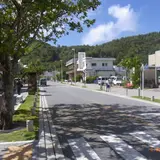 小笠原　島のメインストリート