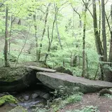 天狗橋