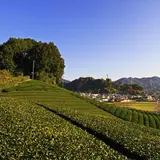 安積親王陵墓
