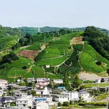 和束町役場