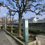 西除川遊歩道