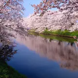 水郷小見川観光協会