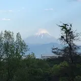 新府城跡