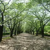 府中の森公園