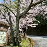 宮川ダム湖