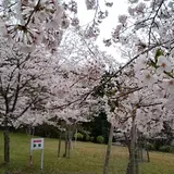北畠史跡公園