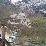 丸山公園