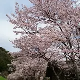 もみじの里公園