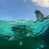 天王寺動物園