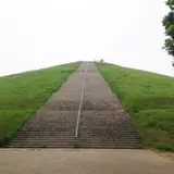 たつのこフィールド