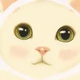 choo choo （猫）