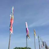 遠賀川 鯉のぼりまつり