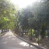 大野川歩行者専用道路