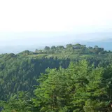 （有）フラワーパークあまがせ