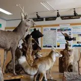 三峰ビジターセンター