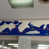 オーシャン東九フェリー