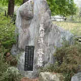 長瀞町観光協会