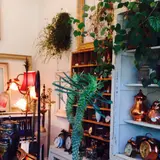 Arbre（アルブル）