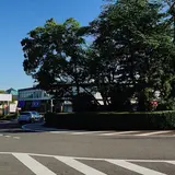 桜ヶ丘ロータリー