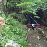 小滝不動