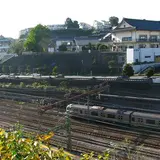 幸ヶ谷公園