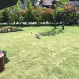 山崎町田井２２８