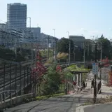 三角地帯