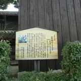 吉年邸のクスノキ