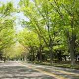 駒沢オリンピック公園