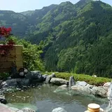 新祖谷温泉 ホテルかずら橋