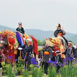 チャグチャグ馬コ