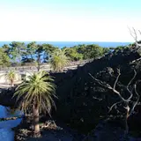 都立大島公園動物園