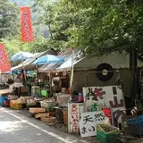山のキノコ屋