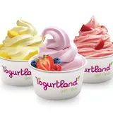 Yogurtland