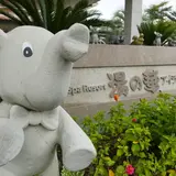 湯の華アイランド