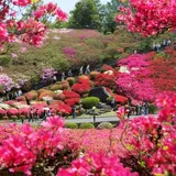 小室山つつじ園