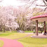 和光樹林公園